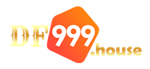 logo-df999